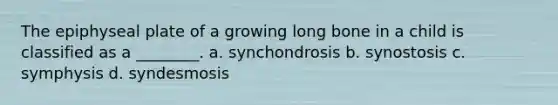 The epiphyseal plate of a growing long bone in a child is classified as a ________. a. synchondrosis b. synostosis c. symphysis d. syndesmosis