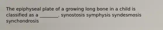 The epiphyseal plate of a growing long bone in a child is classified as a ________. synostosis symphysis syndesmosis synchondrosis