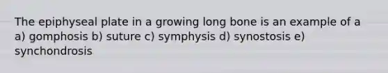 The epiphyseal plate in a growing long bone is an example of a a) gomphosis b) suture c) symphysis d) synostosis e) synchondrosis