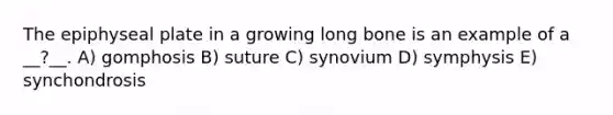 The epiphyseal plate in a growing long bone is an example of a __?__. A) gomphosis B) suture C) synovium D) symphysis E) synchondrosis