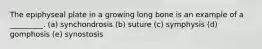 The epiphyseal plate in a growing long bone is an example of a _________. (a) synchondrosis (b) suture (c) symphysis (d) gomphosis (e) synostosis