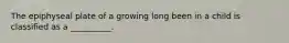 The epiphyseal plate of a growing long been in a child is classified as a __________.