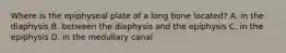 Where is the epiphyseal plate of a long bone located? A. in the diaphysis B. between the diaphysis and the epiphysis C. in the epiphysis D. in the medullary canal