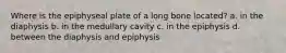 Where is the epiphyseal plate of a long bone located? a. in the diaphysis b. in the medullary cavity c. in the epiphysis d. between the diaphysis and epiphysis