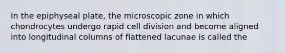 In the epiphyseal plate, the microscopic zone in which chondrocytes undergo rapid <a href='https://www.questionai.com/knowledge/kjHVAH8Me4-cell-division' class='anchor-knowledge'>cell division</a> and become aligned into longitudinal columns of flattened lacunae is called the