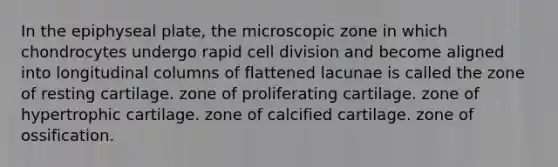 In the epiphyseal plate, the microscopic zone in which chondrocytes undergo rapid cell division and become aligned into longitudinal columns of flattened lacunae is called the zone of resting cartilage. zone of proliferating cartilage. zone of hypertrophic cartilage. zone of calcified cartilage. zone of ossification.