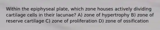 Within the epiphyseal plate, which zone houses actively dividing cartilage cells in their lacunae? A) zone of hypertrophy B) zone of reserve cartilage C) zone of proliferation D) zone of ossification