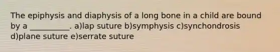 The epiphysis and diaphysis of a long bone in a child are bound by a __________. a)lap suture b)symphysis c)synchondrosis d)plane suture e)serrate suture