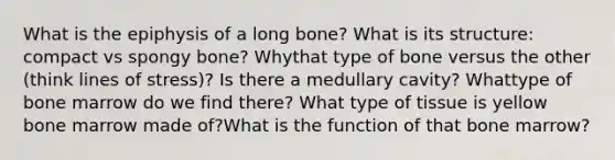 What is the epiphysis of a long bone? What is its structure: compact vs spongy bone? Whythat type of bone versus the other (think lines of stress)? Is there a medullary cavity? Whattype of bone marrow do we find there? What type of tissue is yellow bone marrow made of?What is the function of that bone marrow?