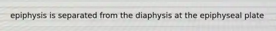 epiphysis is separated from the diaphysis at the epiphyseal plate