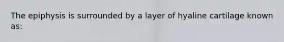 The epiphysis is surrounded by a layer of hyaline cartilage known as: