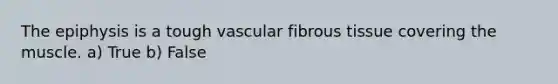 The epiphysis is a tough vascular fibrous tissue covering the muscle. a) True b) False