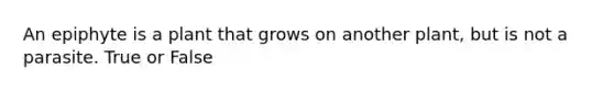 An epiphyte is a plant that grows on another plant, but is not a parasite. True or False