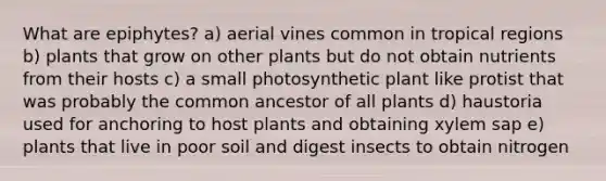 What are epiphytes? a) aerial vines common in tropical regions b) plants that grow on other plants but do not obtain nutrients from their hosts c) a small photosynthetic plant like protist that was probably the common ancestor of all plants d) haustoria used for anchoring to host plants and obtaining xylem sap e) plants that live in poor soil and digest insects to obtain nitrogen