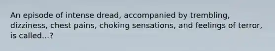 An episode of intense dread, accompanied by trembling, dizziness, chest pains, choking sensations, and feelings of terror, is called...?