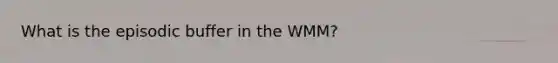 What is the episodic buffer in the WMM?