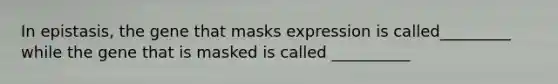 In epistasis, the gene that masks expression is called_________ while the gene that is masked is called __________