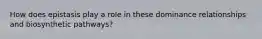 How does epistasis play a role in these dominance relationships and biosynthetic pathways?