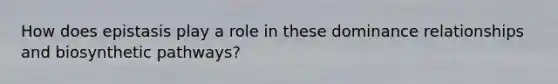 How does epistasis play a role in these dominance relationships and biosynthetic pathways?