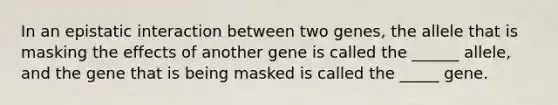 In an epistatic interaction between two genes, the allele that is masking the effects of another gene is called the ______ allele, and the gene that is being masked is called the _____ gene.