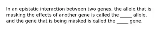 In an epistatic interaction between two genes, the allele that is masking the effects of another gene is called the _____ allele, and the gene that is being masked is called the _____ gene.