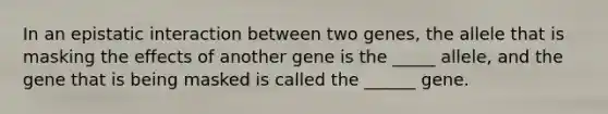 In an epistatic interaction between two genes, the allele that is masking the effects of another gene is the _____ allele, and the gene that is being masked is called the ______ gene.