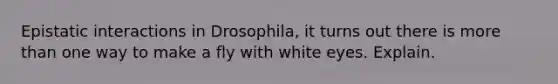 Epistatic interactions in Drosophila, it turns out there is more than one way to make a fly with white eyes. Explain.