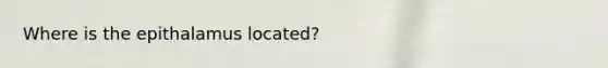 Where is the epithalamus located?