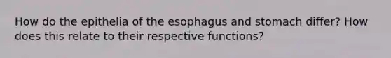 How do the epithelia of <a href='https://www.questionai.com/knowledge/kSjVhaa9qF-the-esophagus' class='anchor-knowledge'>the esophagus</a> and stomach differ? How does this relate to their respective functions?