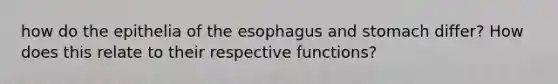 how do the epithelia of the esophagus and stomach differ? How does this relate to their respective functions?