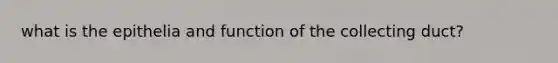 what is the epithelia and function of the collecting duct?