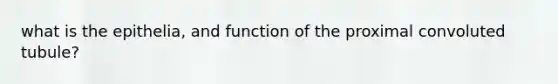 what is the epithelia, and function of the proximal convoluted tubule?