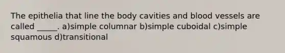 The epithelia that line the body cavities and blood vessels are called _____. a)simple columnar b)simple cuboidal c)simple squamous d)transitional