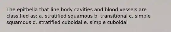 The epithelia that line body cavities and blood vessels are classified as: a. stratified squamous b. transitional c. simple squamous d. stratified cuboidal e. simple cuboidal