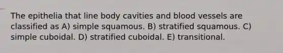 The epithelia that line body cavities and blood vessels are classified as A) simple squamous. B) stratified squamous. C) simple cuboidal. D) stratified cuboidal. E) transitional.