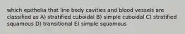 which epithelia that line body cavities and blood vessels are classified as A) stratified cuboidal B) simple cuboidal C) stratified squamous D) transitional E) simple squamous