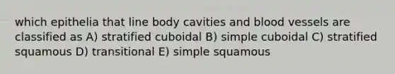 which epithelia that line body cavities and blood vessels are classified as A) stratified cuboidal B) simple cuboidal C) stratified squamous D) transitional E) simple squamous