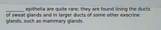 ________ epithelia are quite rare; they are found lining the ducts of sweat glands and in larger ducts of some other exocrine glands, such as mammary glands.