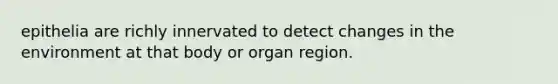 epithelia are richly innervated to detect changes in the environment at that body or organ region.