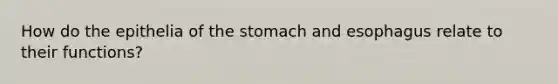 How do the epithelia of the stomach and esophagus relate to their functions?