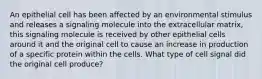 An epithelial cell has been affected by an environmental stimulus and releases a signaling molecule into the extracellular matrix, this signaling molecule is received by other epithelial cells around it and the original cell to cause an increase in production of a specific protein within the cells. What type of cell signal did the original cell produce?