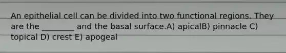 An epithelial cell can be divided into two functional regions. They are the ________ and the basal surface.A) apicalB) pinnacle C) topical D) crest E) apogeal