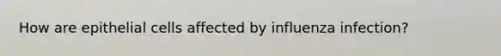 How are epithelial cells affected by influenza infection?
