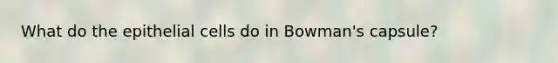 What do the epithelial cells do in Bowman's capsule?