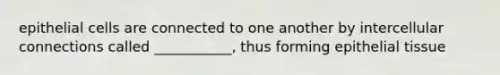 epithelial cells are connected to one another by intercellular connections called ___________, thus forming epithelial tissue