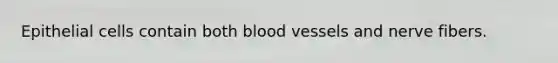 Epithelial cells contain both blood vessels and nerve fibers.