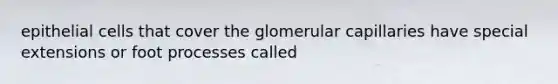 epithelial cells that cover the glomerular capillaries have special extensions or foot processes called