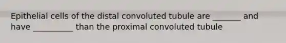 Epithelial cells of the distal convoluted tubule are _______ and have __________ than the proximal convoluted tubule