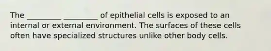 The _________ _________ of epithelial cells is exposed to an internal or external environment. The surfaces of these cells often have specialized structures unlike other body cells.