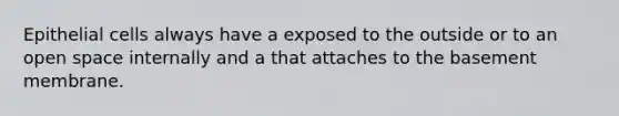 Epithelial cells always have a exposed to the outside or to an open space internally and a that attaches to the basement membrane.